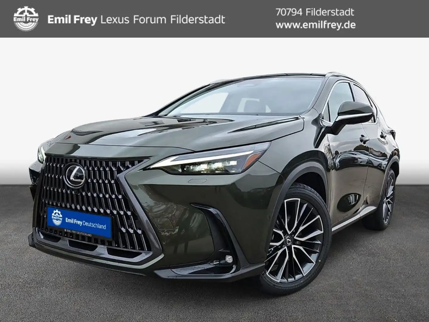 Lexus NX350h 4x4 Luxury Line + Panorama Modell2025 NX350 Grün - 1