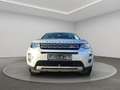 Land Rover Discovery Sport 4WD/Leder/Pano/Kam/4xSHZ Silber - thumbnail 8