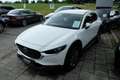Mazda CX-30 SKYACTIV-X 2.0 M HYBRID 6AG SELECTION A18-B DES-P Blanco - thumbnail 2