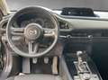Mazda CX-30 Selection 2WD Bluetooth Head Up Display Navi - thumbnail 13