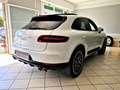 Porsche Macan 3.0 S DIESEL 250CV CERTIF*TETTO Blanc - thumbnail 6