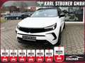 Opel Grandland X Grandland GSE 360° ABSTANDSTEMP LENKRADHZ Weiß - thumbnail 1