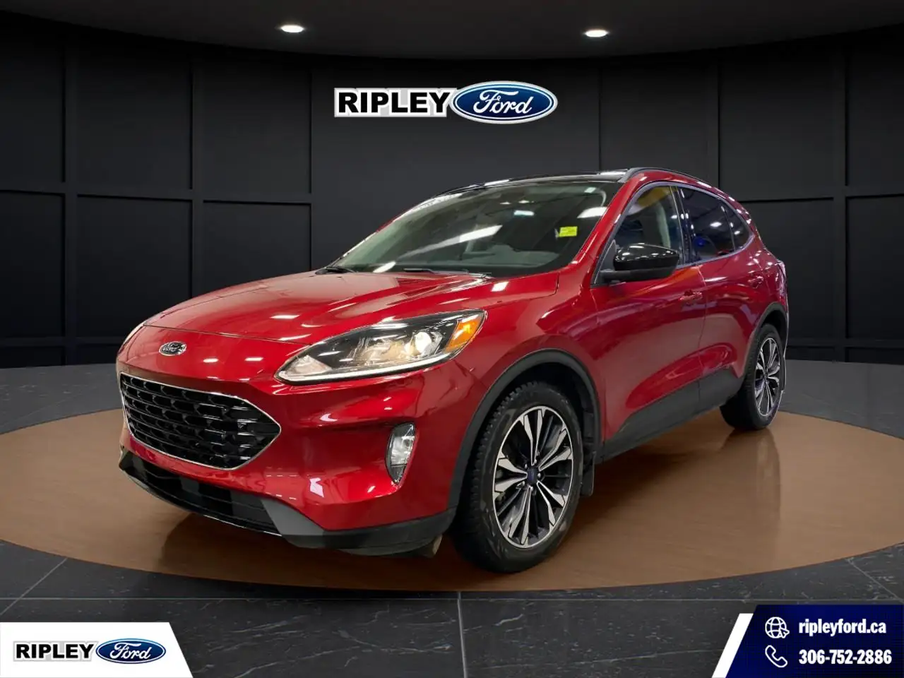 2022 Ford Escape