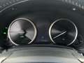 Lexus NX 300h AWD Luxury Line | Leder | Adaptive Cruise | LED | Black - thumbnail 19
