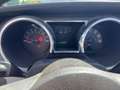 Ford Mustang GT/CS CALIFORNIA SPECIAL V8 4.6L SOHC 24 SOUPAPES  Or - thumbnail 14