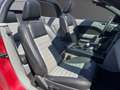 Ford Mustang GT/CS CALIFORNIA SPECIAL V8 4.6L SOHC 24 SOUPAPES  Or - thumbnail 10