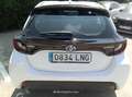 Toyota Yaris 1.5 120H Business Plus - thumbnail 28