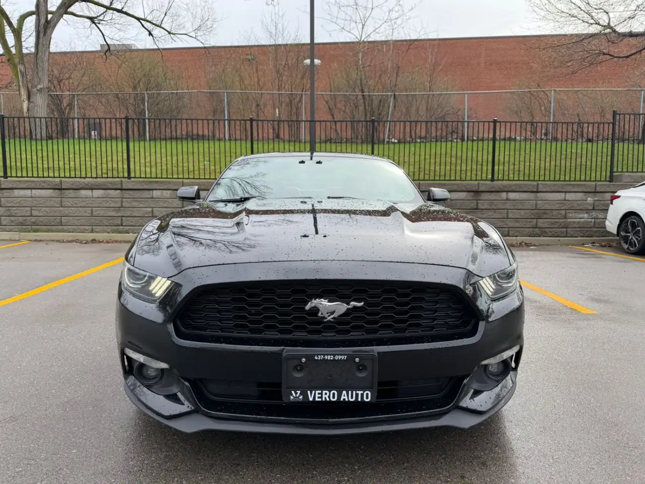 Ford Mustang снимка Ford Mustang