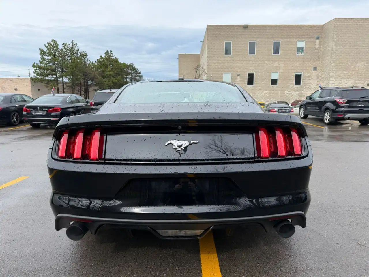 Ford Mustang снимка Ford Mustang