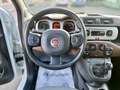 Fiat Panda 1.3 mjt 16v Cross 4x4 80cv - thumbnail 12