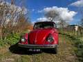 Volkswagen Kever 1500 cabriolet 1969 Rosso - thumbnail 3