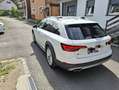 Audi A4 allroad Quattro V6 3.0 TDI 272 DPF Tiptronic 8 Design Luxe Weiß - thumbnail 2