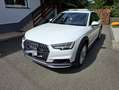 Audi A4 allroad Quattro V6 3.0 TDI 272 DPF Tiptronic 8 Design Luxe Weiß - thumbnail 5