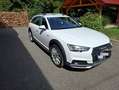 Audi A4 allroad Quattro V6 3.0 TDI 272 DPF Tiptronic 8 Design Luxe Weiß - thumbnail 12