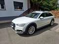 Audi A4 allroad Quattro V6 3.0 TDI 272 DPF Tiptronic 8 Design Luxe Weiß - thumbnail 15