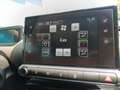 Citroen C4 Cactus 1.2 PureTech S&S Shine 110 Blanco - thumbnail 19
