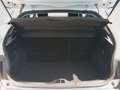 Citroen C4 Cactus 1.2 PureTech S&S Shine 110 Blanco - thumbnail 11