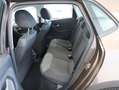 Volkswagen Polo 40 Jahre Limited Edition Braun - thumbnail 11