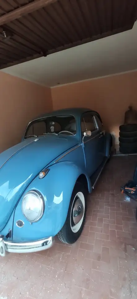 Volkswagen Maggiolino, foto 2