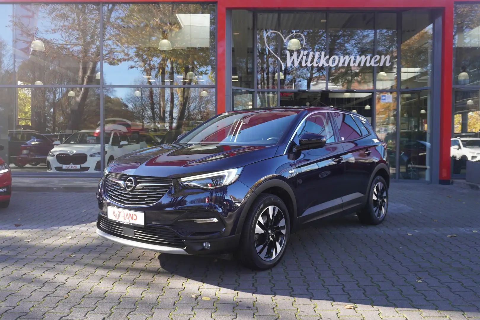 Opel Grandland 1.2 Business Innovation EAT8 LED PDC Mauve - 1