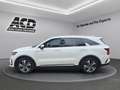 Kia Sorento SORENTO 1.6T AT PHEV AWD PLATINUM*PANO*7-SITZER*AH Weiß - thumbnail 2