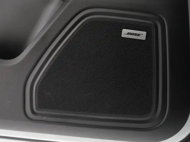 Porsche Macan view 15