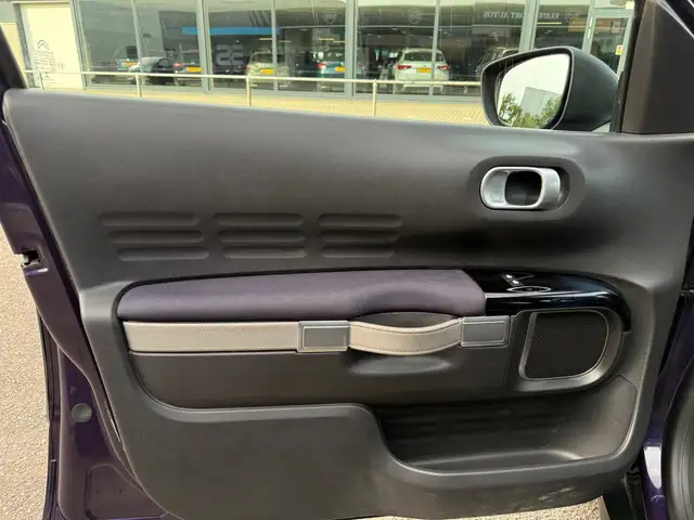 Citroen C4 Cactus view 14