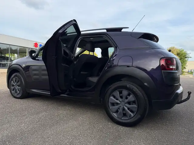 Citroen C4 Cactus view 16