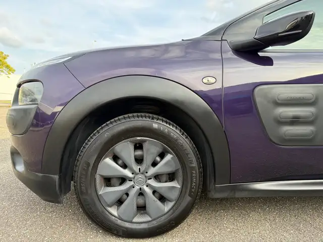 Citroen C4 Cactus view 6