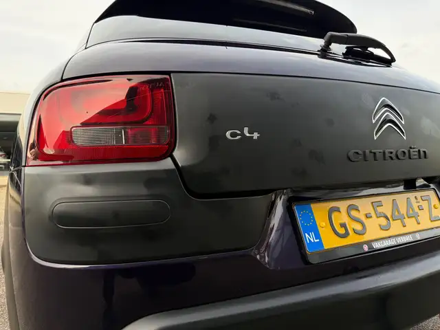 Citroen C4 Cactus view 30