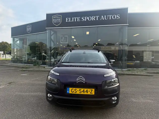 Citroen C4 Cactus view 5