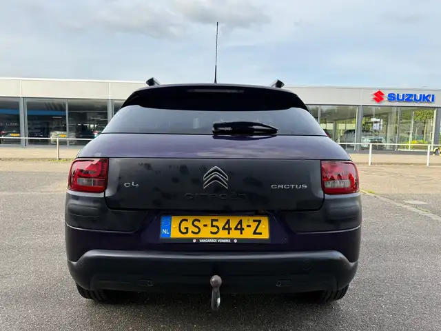 Citroen C4 Cactus view 3