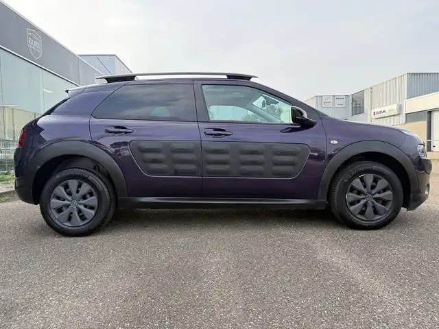Citroen C4 Cactus view 4