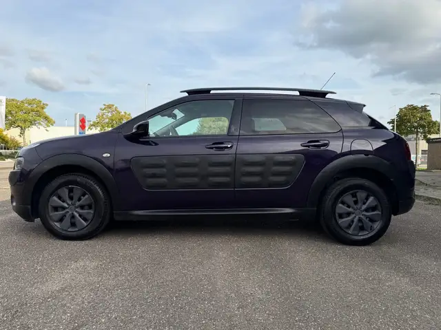 Citroen C4 Cactus view 2