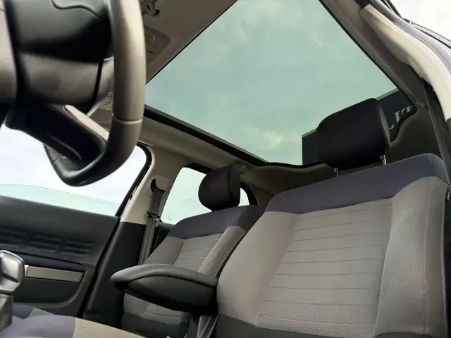 Citroen C4 Cactus view 13