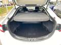 Ford Mondeo 1,5 EcoBoost Trend | Winter Paket | Navi Weiß - thumbnail 25