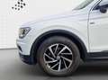 Volkswagen Tiguan Comfortline 2,0 l TDI Navi+front Assist Weiß - thumbnail 12
