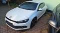Volkswagen Scirocco 1.4 TSI 90 kW Weiß - thumbnail 2