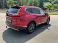 Honda CR-V e:HEV 2.0 i-MMD Hybrid 4WD Lifestyle Rojo - thumbnail 6