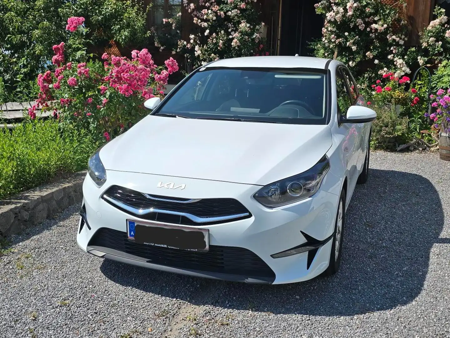 Kia Ceed / cee'd ceed 1,6 CRDi 48V Silber Silber Weiß - 1