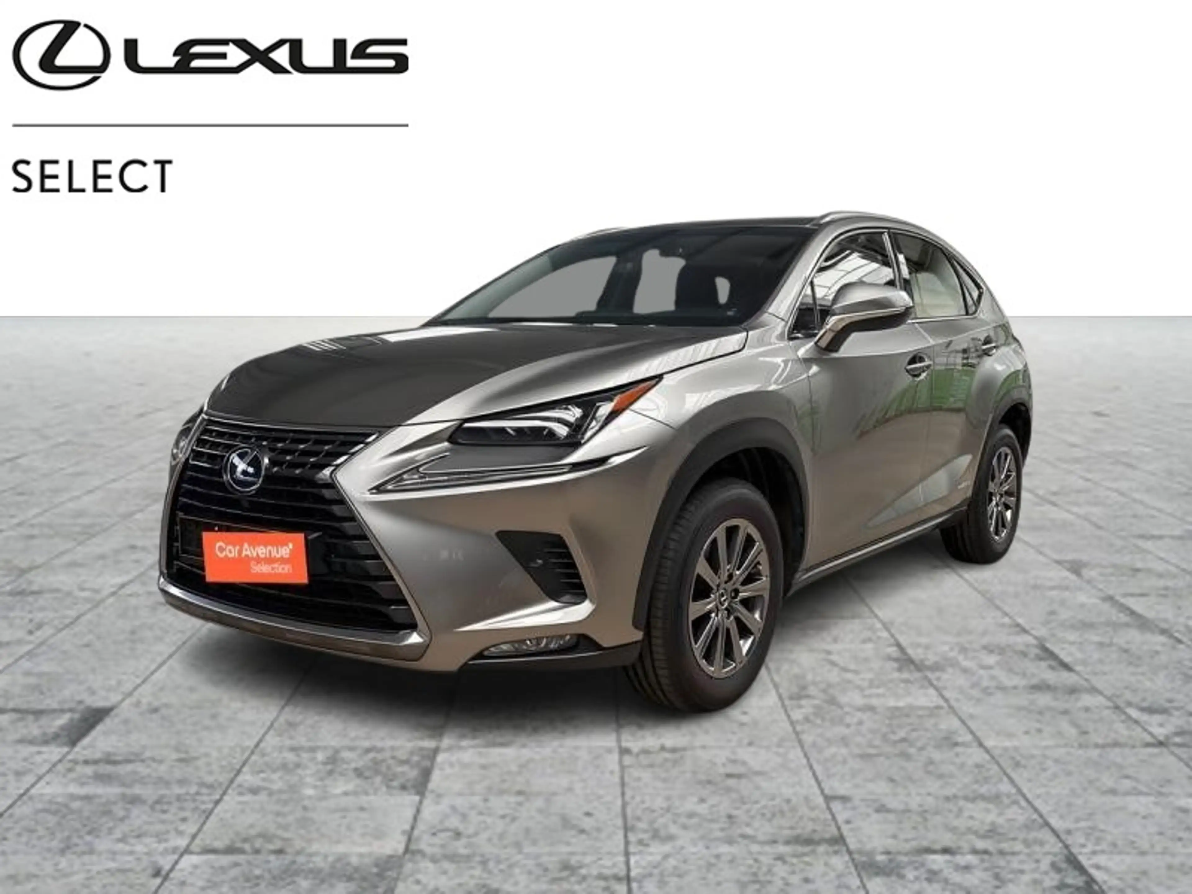 Lexus NX 300h BUSINESS LINE