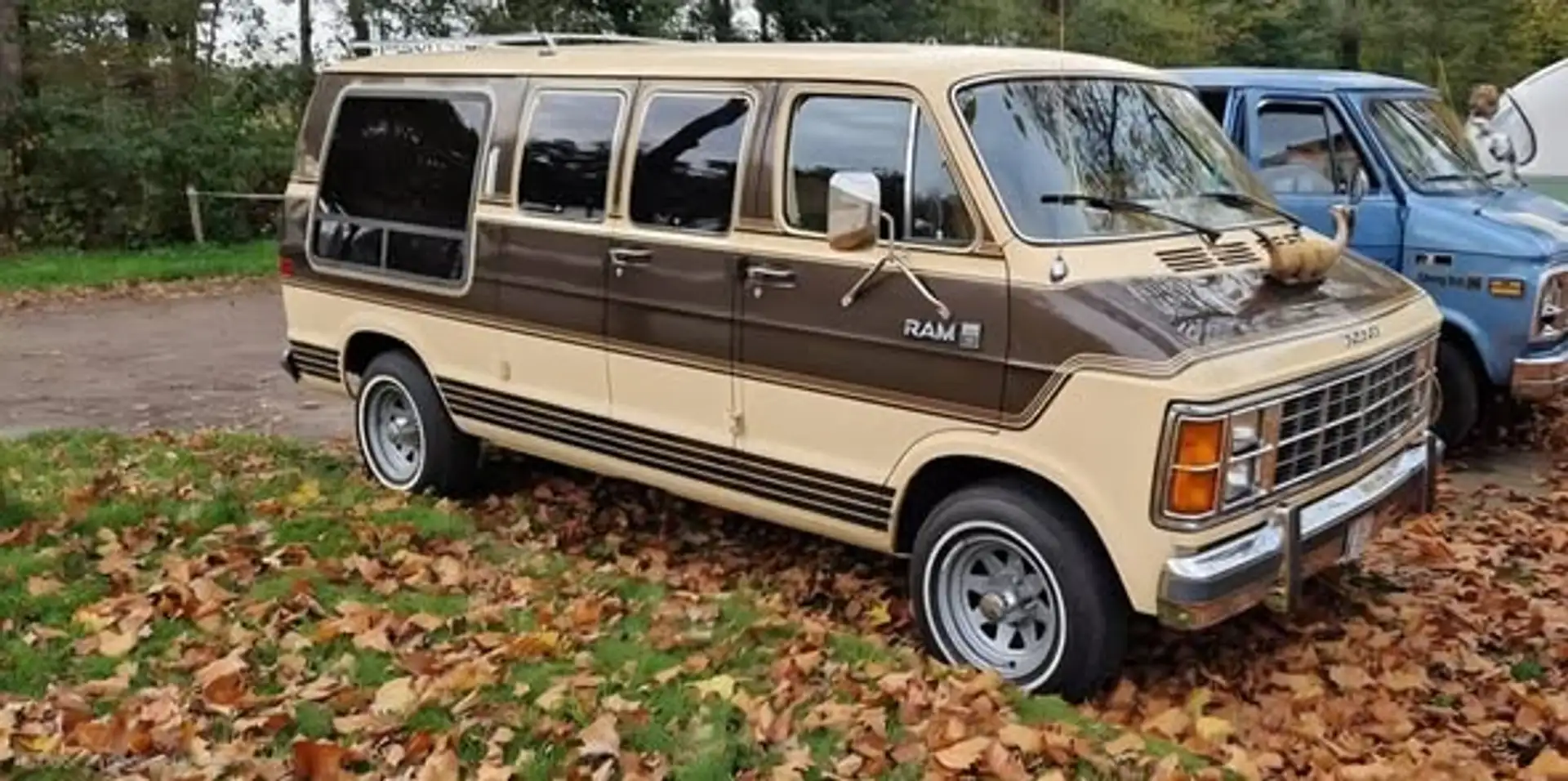 Dodge Van Lowtop RAM VAN B250 Marrón - 2