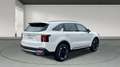 Kia Sorento 1.6 T-GDI HEV DRIVE AUTO 2WD 215CV 5P 7 Plazas Білий - thumbnail 5