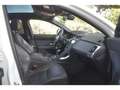 Jaguar E-Pace E-Pace D180 - AWD - BVA Bianco - thumbnail 12
