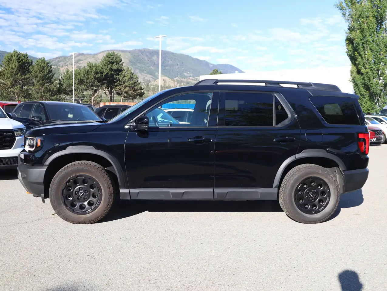 Honda Passport photo Honda Passport