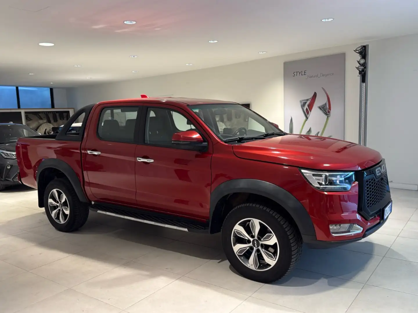EVO Cross4 2.0 TD 136cv Doppia Cabina 4x4 Pelle Marce Ridotte Rot - 2