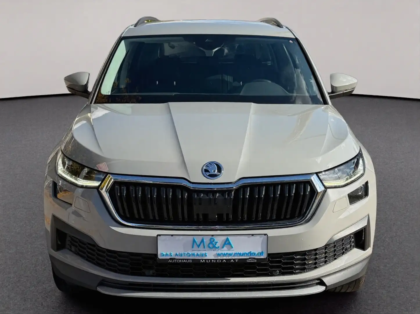 Skoda Kodiaq 2.0 TDI Tour /Erstb./Allrad/Autom./200PS/Garantie Grau - 2