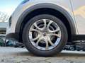 Citroen C3 PureTech 100 S&S YOU #PRONTA CONSEGNA Bianco - thumbnail 13