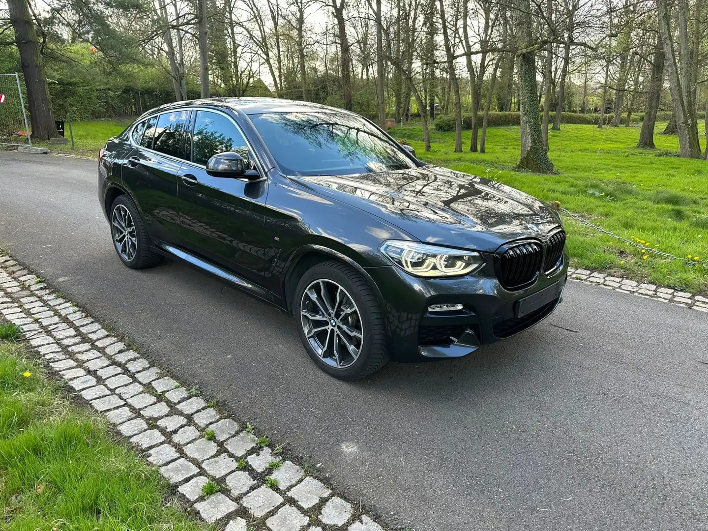 BMW X4 2.0 dA xDrive20 AdBlue (EU6c) Noir - 1