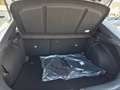 Kia XCeed XCeed 1.6 CRDI Business 136cv KM0 Blanc - thumbnail 16